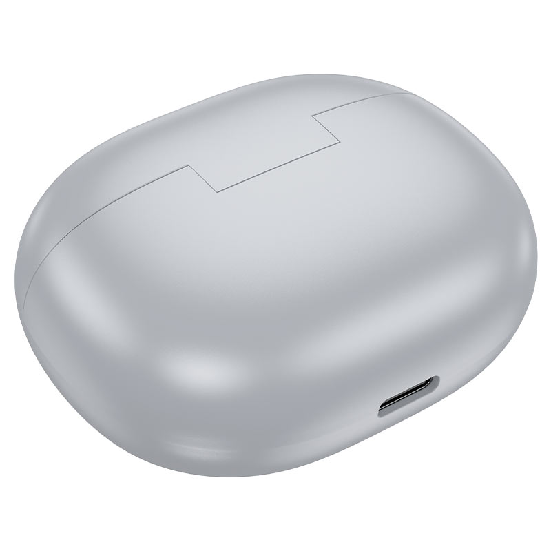 HOCO Wireless Earbuds with Charging Case