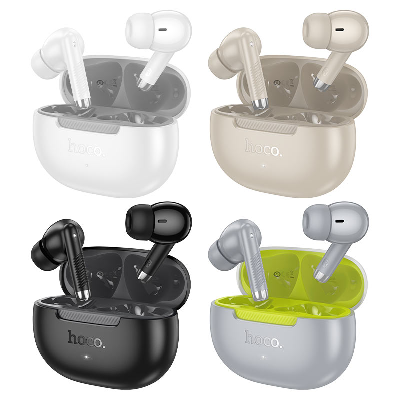 HOCO Wireless Earbuds with Charging Case