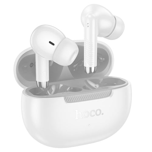 HOCO Wireless Earbuds with Charging Case